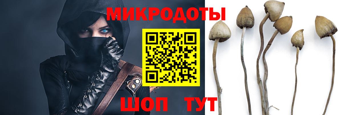 Сургут  наркота  Вход с VPN  Псилоцибиновые грибы Psilocybe 
